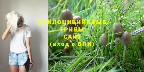 сатива Медногорск